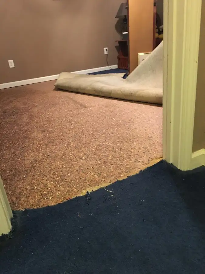 Carpet pad removal revealing water damage during Drying & Dehumidification in Bridgewater