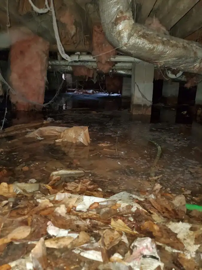 Crawl space flood assessment for Leak Detection & Repair in Bridgewater